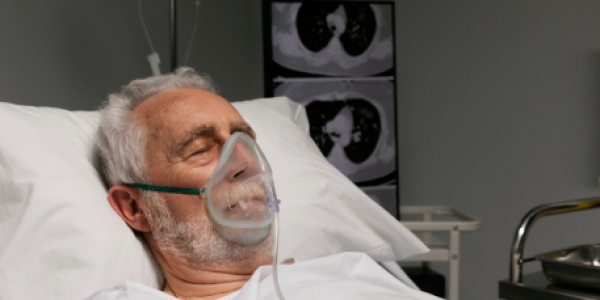 2149011213 1 2149011213 1